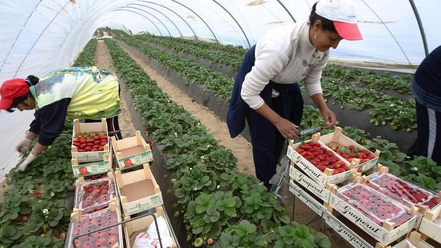 Lavoro Estero Vitto E Alloggio Senza Esperienza