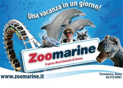 zoomarine