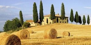 lavorare in campagna