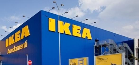 ikea lavoro