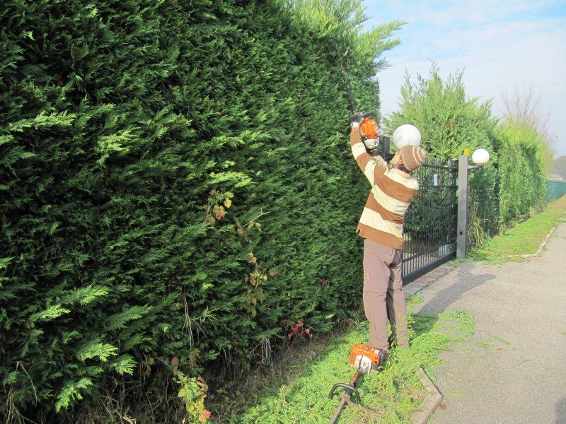 lavoro giardiniere