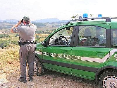 guardia forestale concorsi pubblici