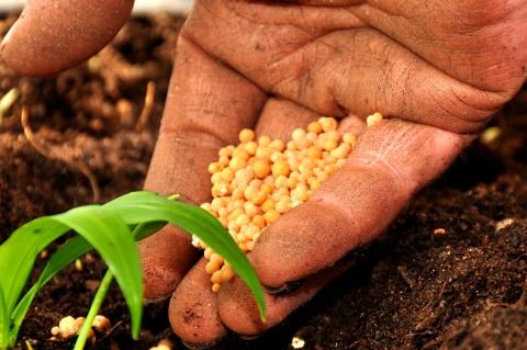 lavoro settore agricolo