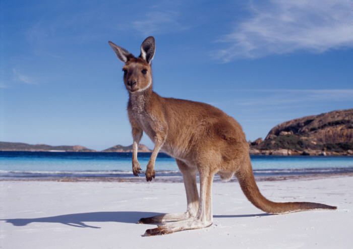 australia