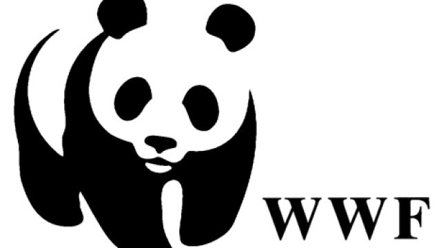 wwf lavoro sede legale