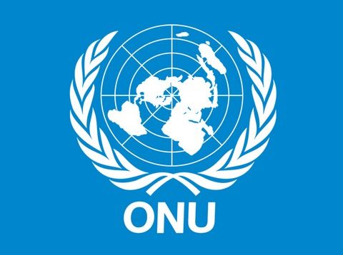 lavoro onu funzionari