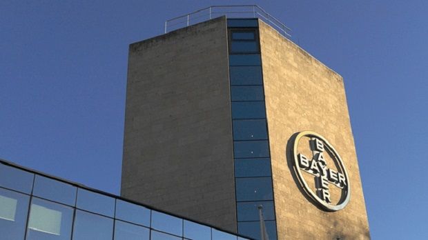 bayer lavoro sede legale