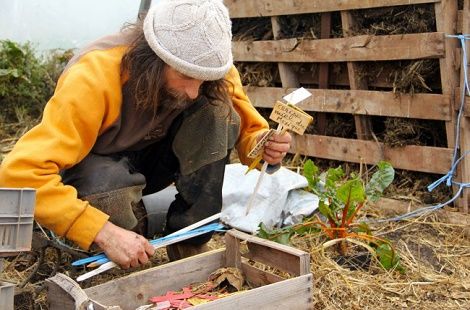 metodo pascal piante senza acqua e pesticidi