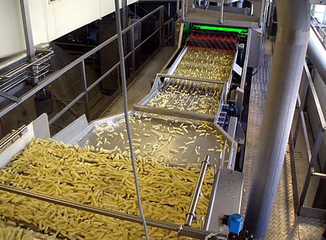 produzione patatine