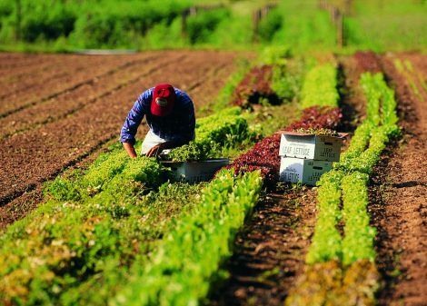 lavori più pagati senza laurea