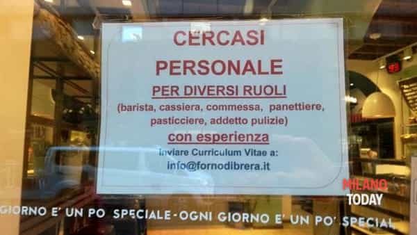 cercasi personale panetteria milano