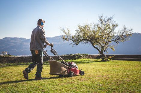 lavoro giardiniere