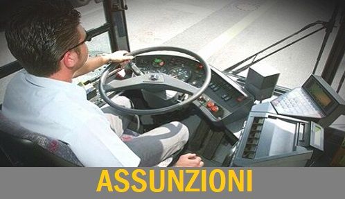 lavoro autista assunzioni