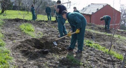 studenti a zappare la terra