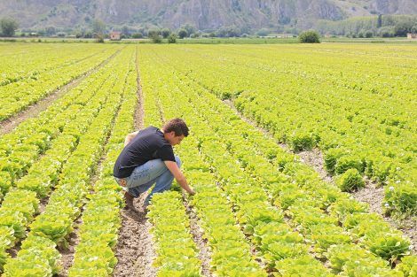 svizzera lavoro terra