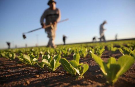 terreno gratis al figlio