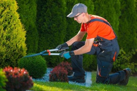 lavoro giardiniere