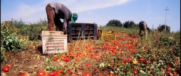 lavoro immigrati