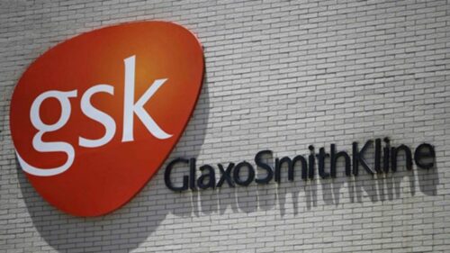 gsk lavora con noi