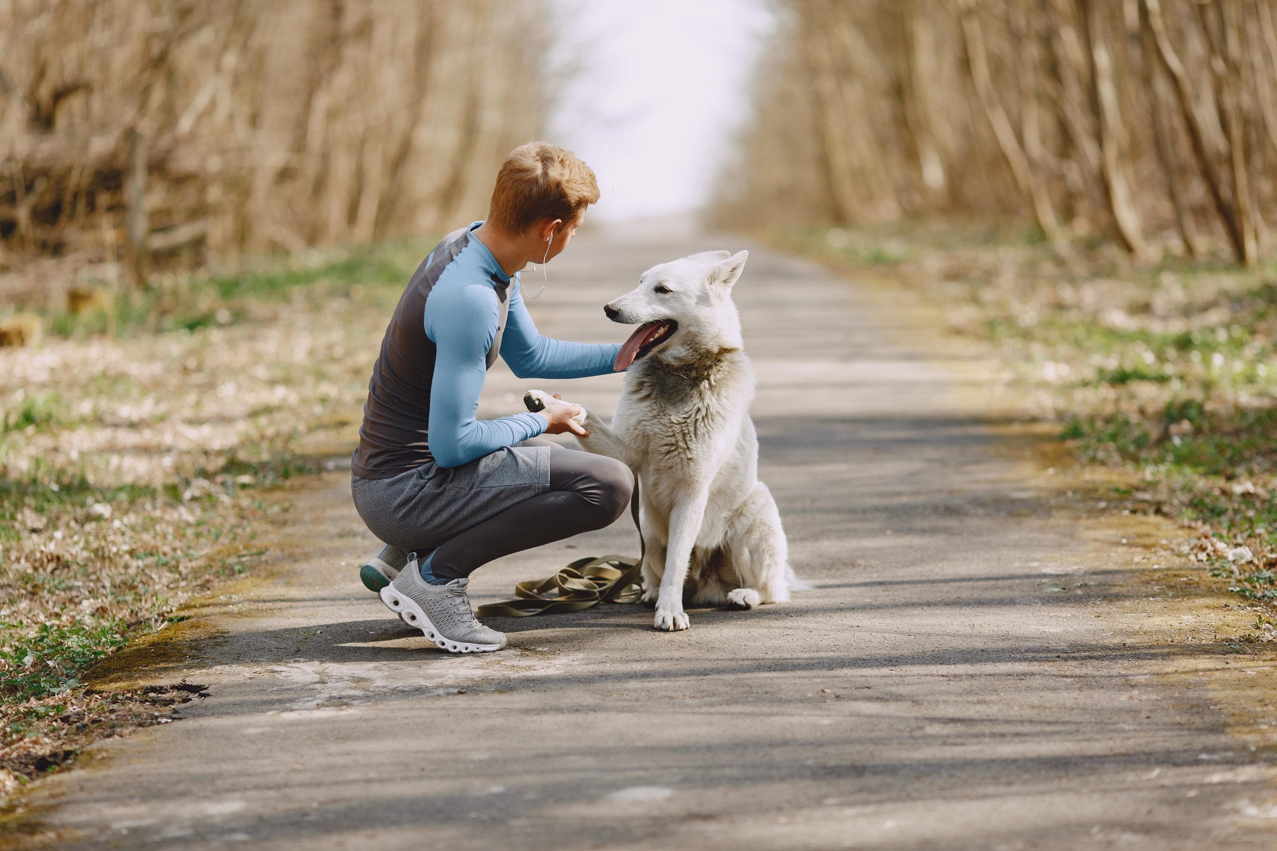 dogsitter lavoro