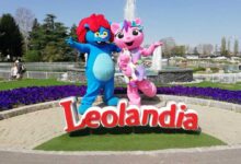leolandia lavora con noi