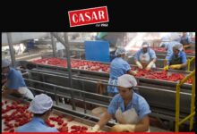 casar assunzioni lavoro
