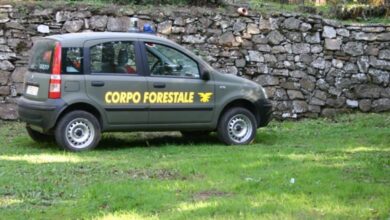 corpo forestale concorso pubblico