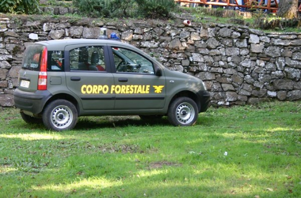 corpo forestale concorso pubblico