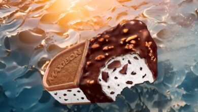 maxibon assaggiatori gelati 1000 euro